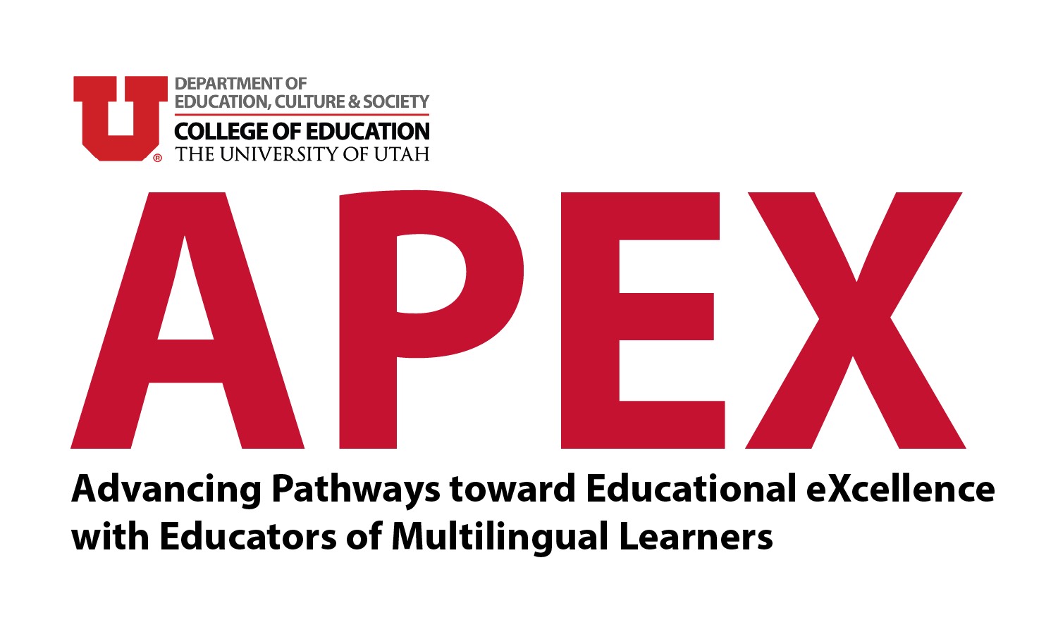 apex logo